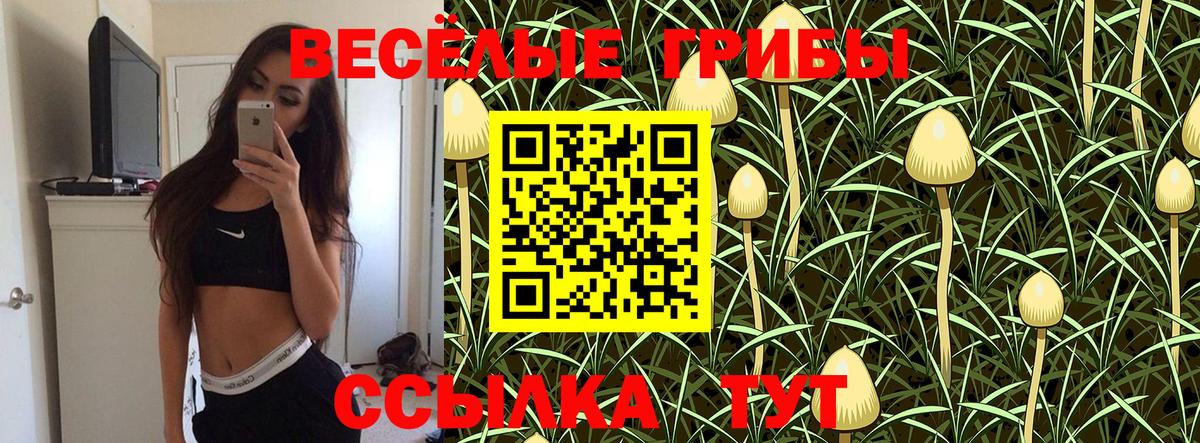 Галлюциногенные грибы Psilocybine cubensis  Псилоцибиновые грибы ЛСД  Вход с VPN  Каменск-Шахтинский 