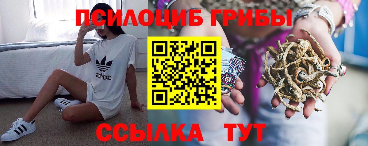 Псилоцибиновые грибы мицелий Каменск-Шахтинский